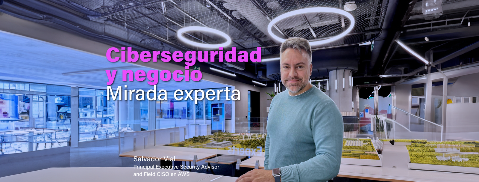 Ciberseguridad: la importancia para los negocios.