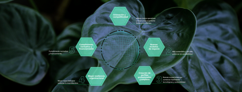 Oportunidades que plantea integrar lo digital y lo verde. Twin transition.