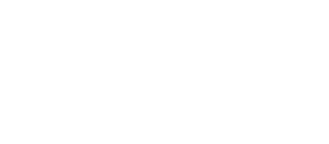 Databrick